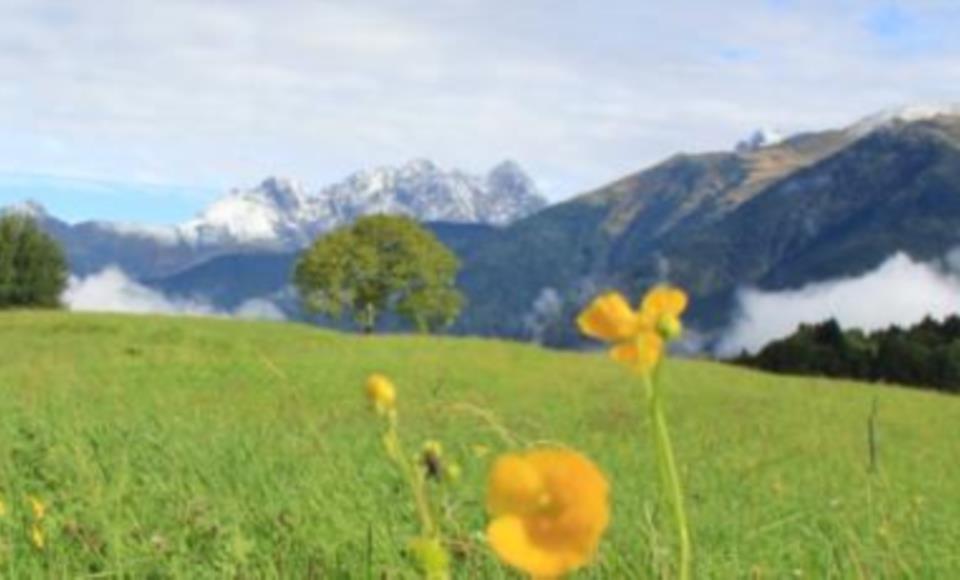 Paesaggio 