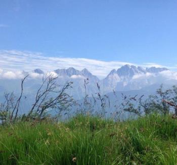 Monte Coglians 