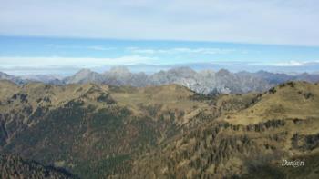 Col Gentile - Malga Losa 