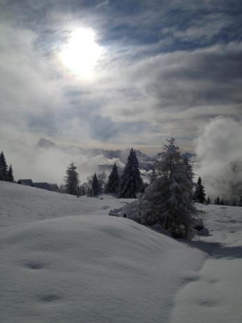 Paesaggio Invernale sul Monte Zoncolan  