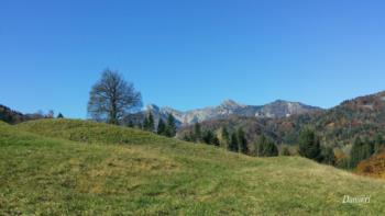 Colline carniche 